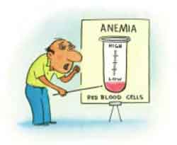 Alcohol and Anemia
