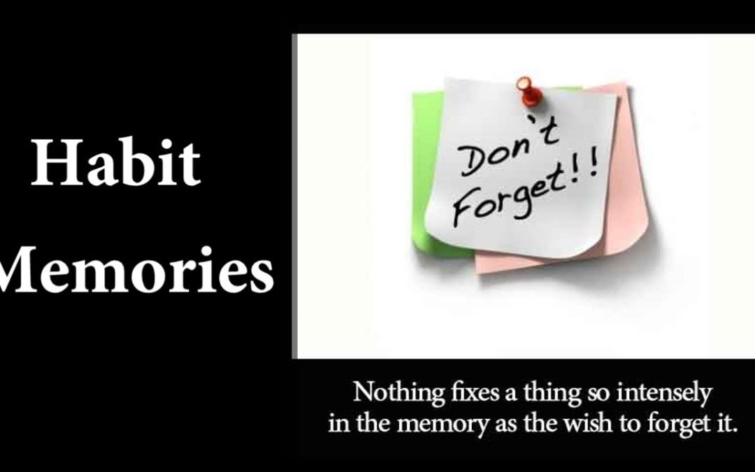 Habit Memories