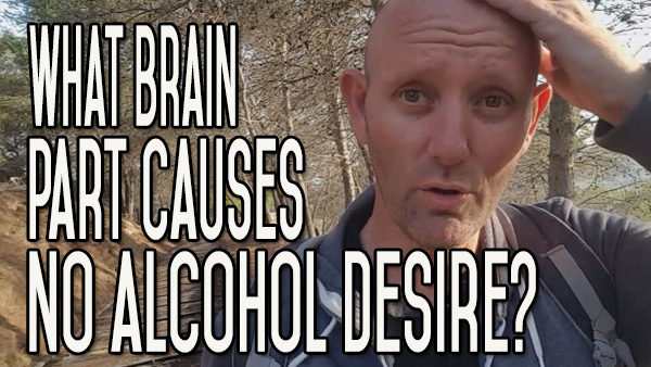 What Part of the Brain Makes Me Not Want to Drink Alcohol?