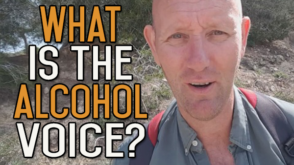 What Is Your Alcohol Voice?