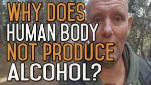 Why Hasn’t The Human Body Evolved To Produce Alcohol Internally?
