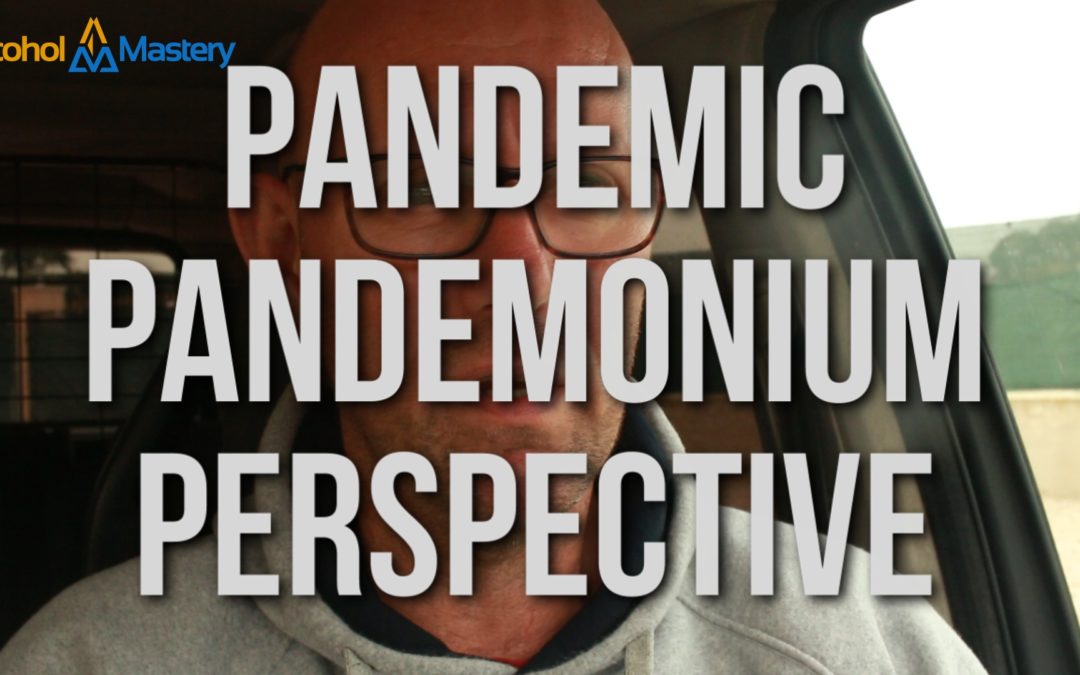 Pandemic Pandemonium Perpective