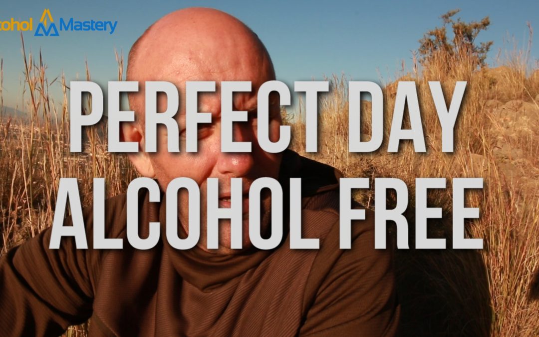 What’s My Perfect Day Alcohol Freed?