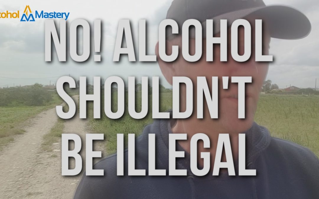 No! Alcohol Should Not Be Illegal And Why You Should Not Want It To Be