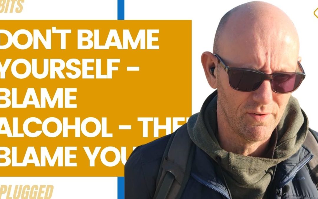 Don’t Blame Yourself – Blame Alcohol – Then Blame Yourself