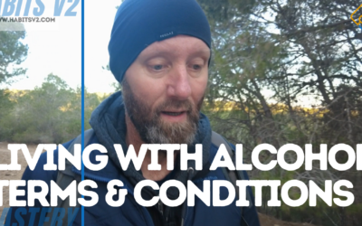 LIVING WITH ALCOHOL TERMS AND CONDITIONS – What If I Don’t Stop Drinking Alcohol?