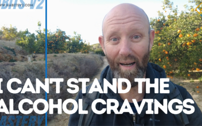 I CAN’T STAND THE ALCOHOL CRAVINGS – Passing The First 30 Days Alcohol Free