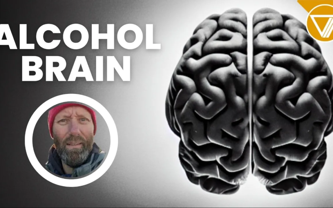 How Does Alcohol Affect The Brain And Lead To Brain Fog?